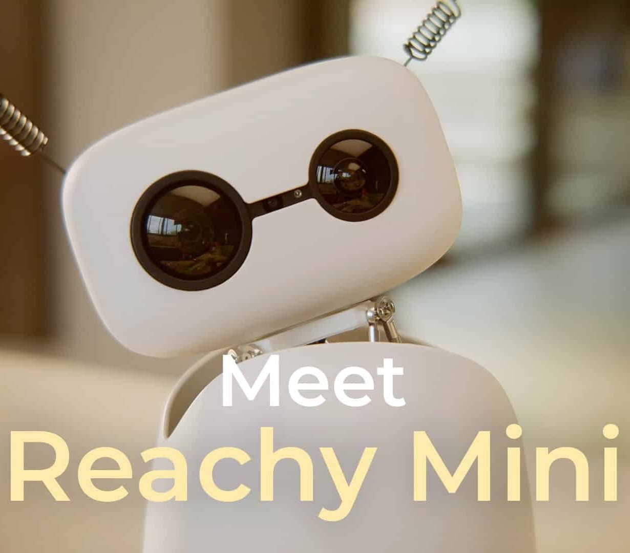 Reachy Mini
